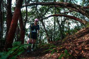 BIB: 
                            <button type="button" onclick="openModal(26346072)" class="btn btn-primary btn-sm float-right btn-popup" data-toggle="modal" data-target=".modal-high-quality">
                        <i class="fas fa-shopping-cart"></i> Add to Cart
                    </button>
                                            <button type="button" onclick="isThisMe(26346072, true)" class="btn btn-success btn-sm float-right btn-popup btn-isme hidden" data-toggle="tooltip" data-placement="bottom" title="นี่คือรูปของคุณใช่ไหม คลิกที่นี่เพื่อเอาเข้าอัลบั้ม">
                        <i class="fas fa-plus"></i> Add to album
                    </button>
                    <button type="button" onclick="isThisMe(26346072, false)" class="btn btn-warning btn-sm float-right btn-popup btn-isnotme hidden">
                        <i class="fas fa-ban"></i> Remove from album
                    </button>